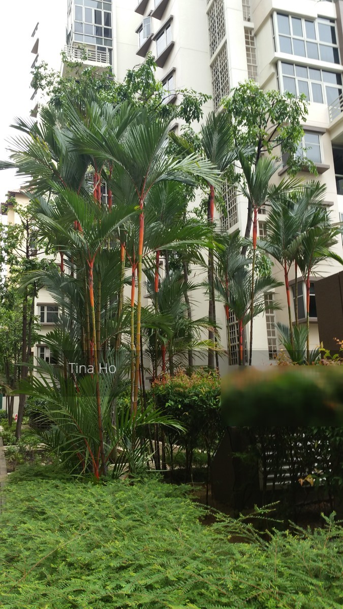 Modena (D18), Condominium #140950822